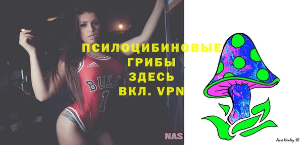 твердый Алзамай