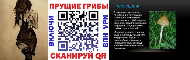 Галлюциногенные грибы Psilocybine cubensis  продажа наркотиков  Дмитриев 